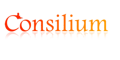 consilium-business-solutions.png